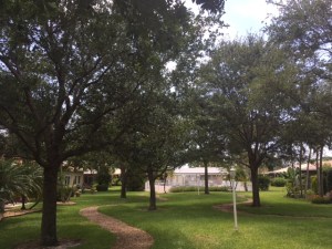 Colony Woods Image 004